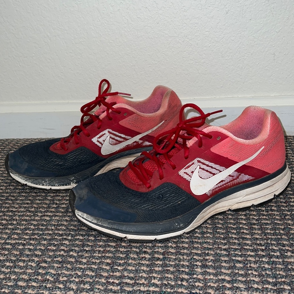 Nike Pegasus 30